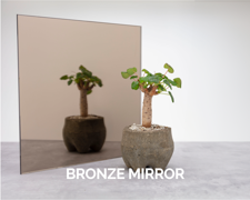 Mirror Specialty Decor Bronze 001