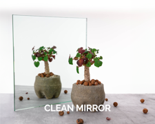 Mirror Specialty Decor Clean 001