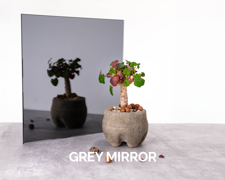 Mirror Specialty Decor Grey 001