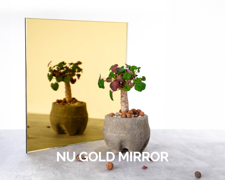 Mirror Specialty Decor Nu Gold 001