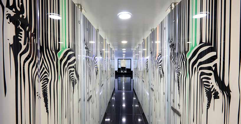 Decorative Glass Gallery 009 Toilet Doors